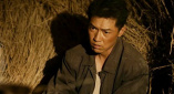 伊人狼人综合