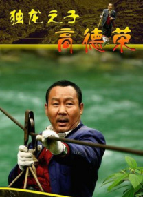 纶理片